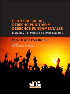 cover image of Protesta social, Derecho punitivo y derechos fundamentales